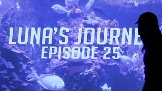 FIRST TIME IN HAWAII   LUNA’S JOURNEY (EPISODE 25)