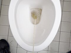 Pee In Australian Throne In Hotel Room